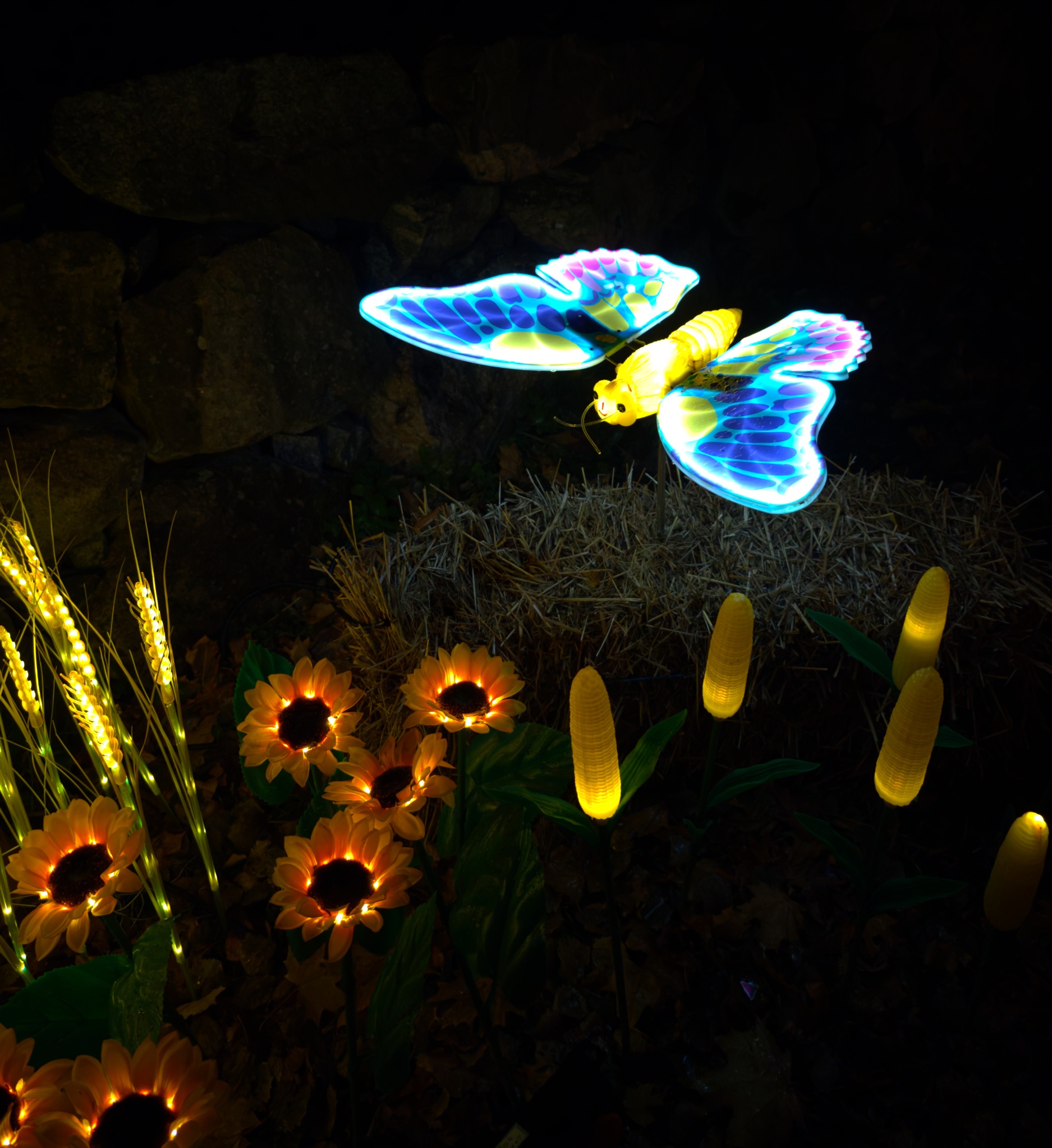 IMG 20251014 191523 copy